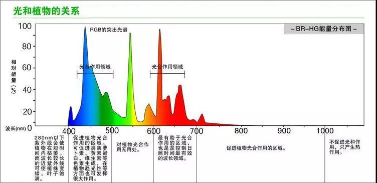 微信图片3_20181114091224.jpg